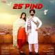 25 Pind Poster