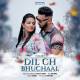 Dil Ch Bhuchaal Poster