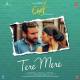 Tere Mere Poster