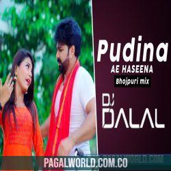 Pudina Ae Hasina Remix   DJ Dalal London