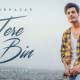 Tere Bin Cover Song Poster