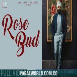 Rose Bud