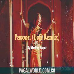 Pasoori (Lofi remix)