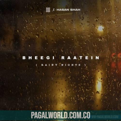 Bheegi Raatein Rainy Nights