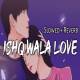 Ishq Wala Love (Slowed Reverb Lofi Mix) Poster