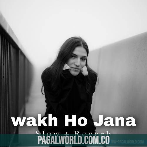 Wakh Ho Jana (Slowed Reverb)