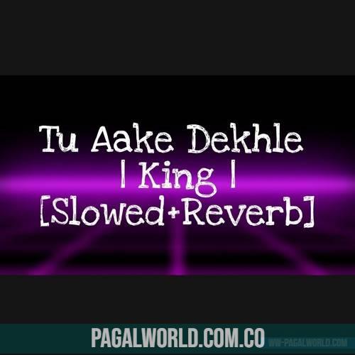 Tu Aake Dekhle (Slowed Reverb) Lofi Mix