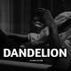 Dandelions (Slowed Reverb) Poster