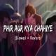 Tu Hai To Mujhe Kya Chahiye (Slowed Reverb Lofi Mix) Poster