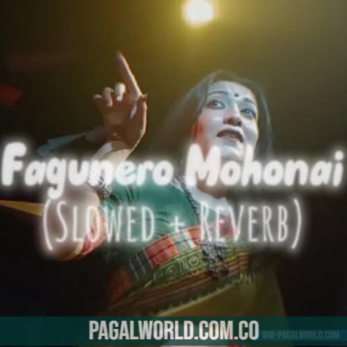 Fagunero Mohonai (Slowed Reverb) Female Version