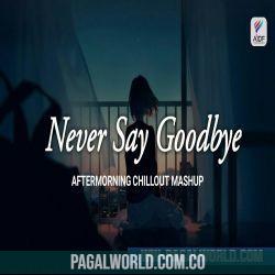 Never Say Goodbye   Aftermorning Chillout Mashup