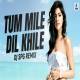 Tu Mile Dil Khile (Remix) Poster