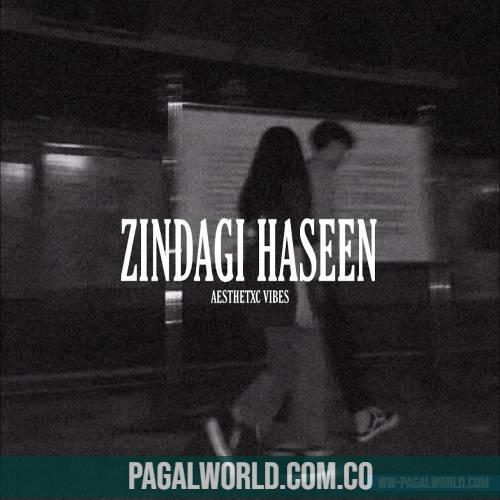 Zindagi Haseen Lofi Mix (Slowed and Reverb)