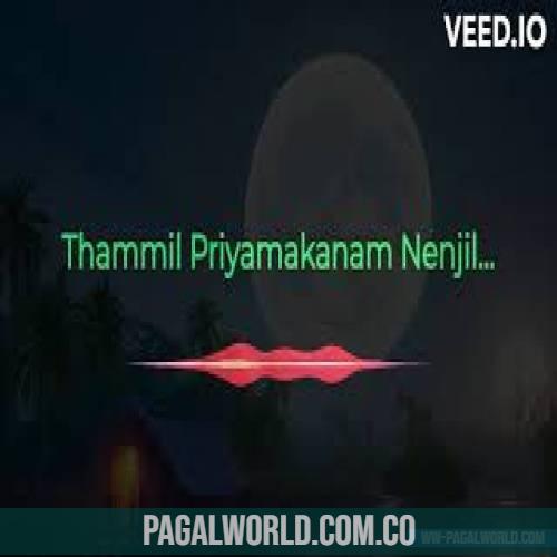 Thammil Priyamakanam