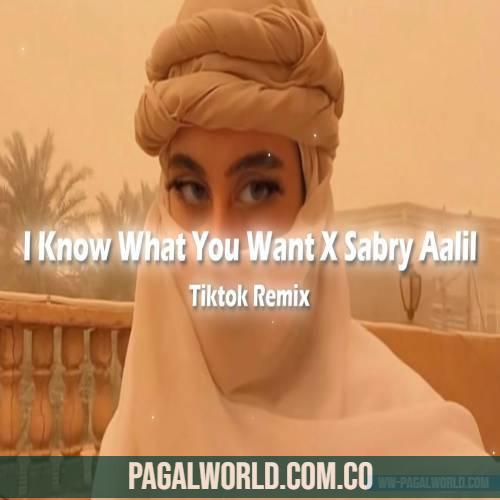I Know What You Want X Arabic Sabry Aalil