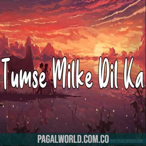 Tumse Milka Dil Ka Jo Haal (Slowed Reverb) Lofi Mix