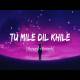 Tum Mile Dil Khile (Slowed Reverb) Lofi Mix Poster