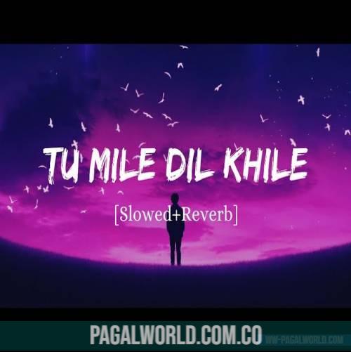 Tum Mile Dil Khile (Slowed Reverb) Lofi Mix