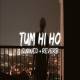 Tum Hi Ho (Slowed Reverb) Lofi Mix Poster