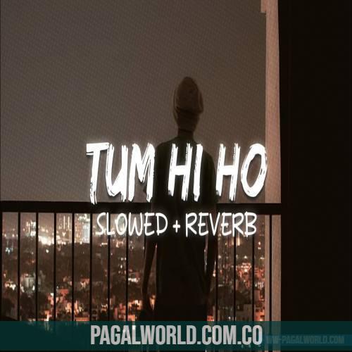 Tum Hi Ho (Slowed Reverb) Lofi Mix