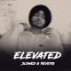 Elevated (Slowed Reverb) Lofi Mix Poster