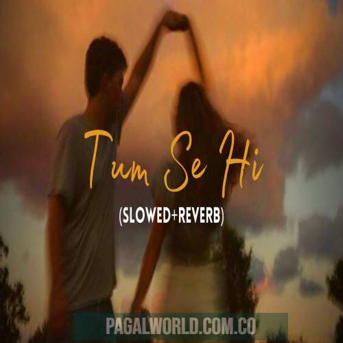 Tum Se Hi (Slowed Reverb) Lofi Mix