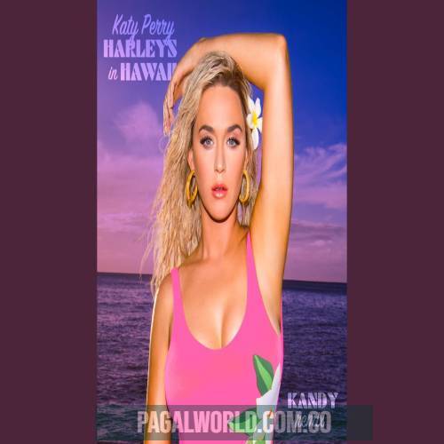 Harleys In Hawaii (Remix)