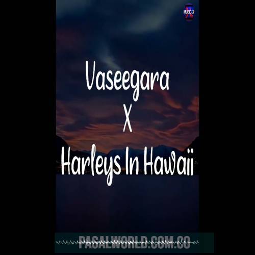 Vaseegara X Harleys In Hawaii