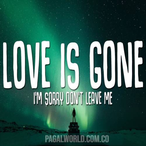 Love Is Gone