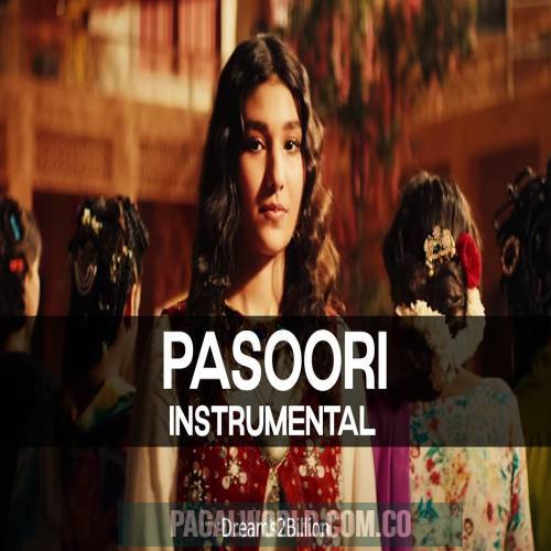 Pasoori (Instrumental)