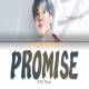 Promise Jimin Poster