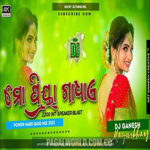 Mo Priya Gadhae Dj Remix