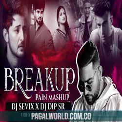 Breakup Pain Mashup 2022   DJ Sevix X Dip SR