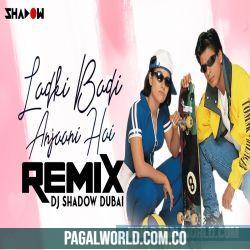 Ladki Badi Anjaani Hai Remix   DJ Shadow Dubai