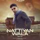 Nattiyan Wala Poster